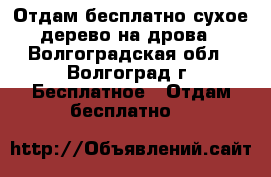 Отдам бесплатно сухое дерево на дрова - Волгоградская обл., Волгоград г. Бесплатное » Отдам бесплатно   